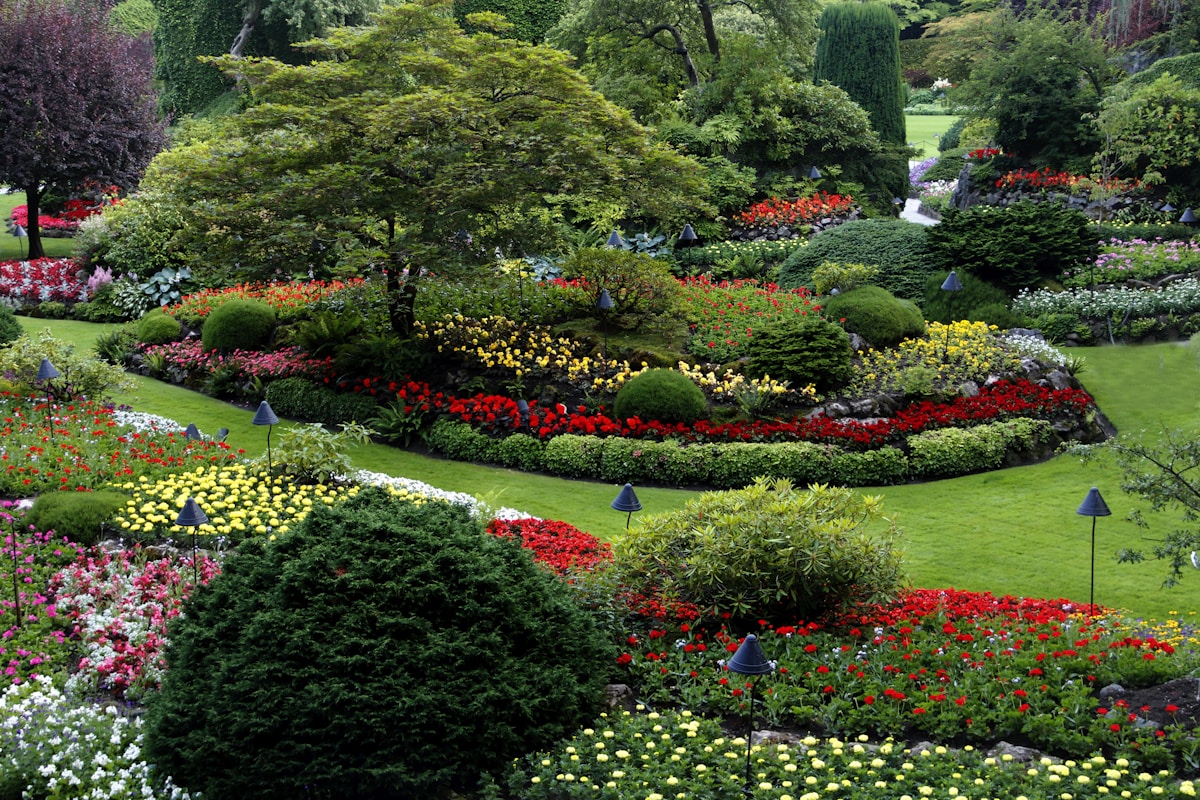 Lawn & Landscaping